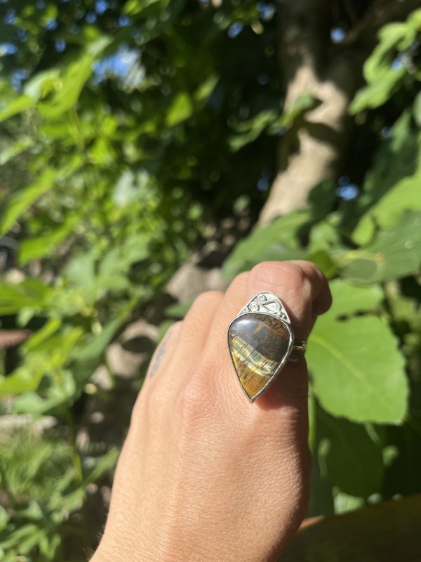 Anillo de Ojo de Halcón - Imagen 2