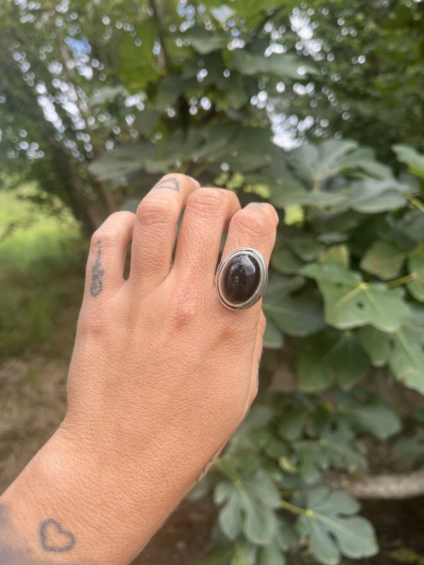 Anillo de Ónix nido