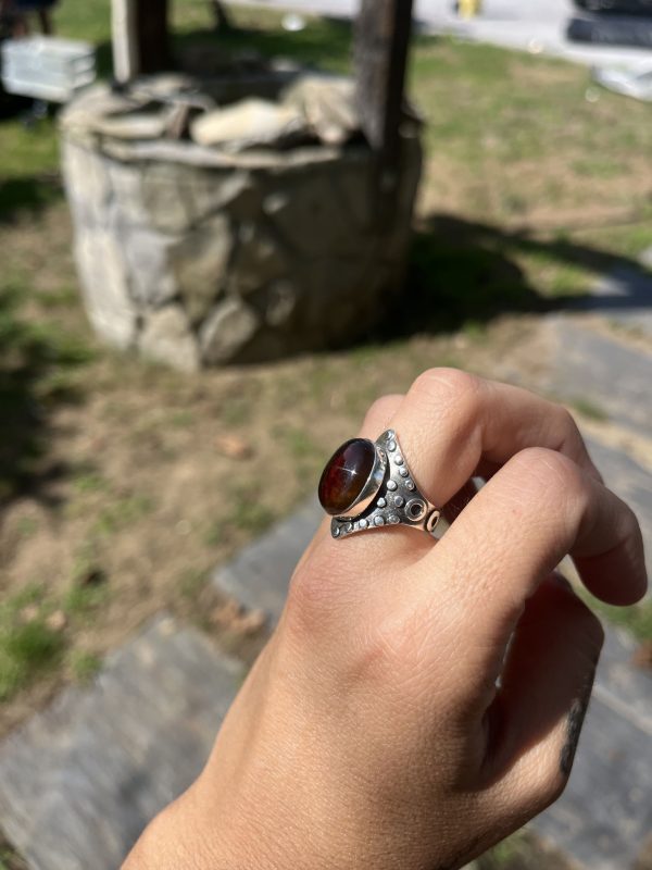 Anillo de Ámbar - Imagen 2