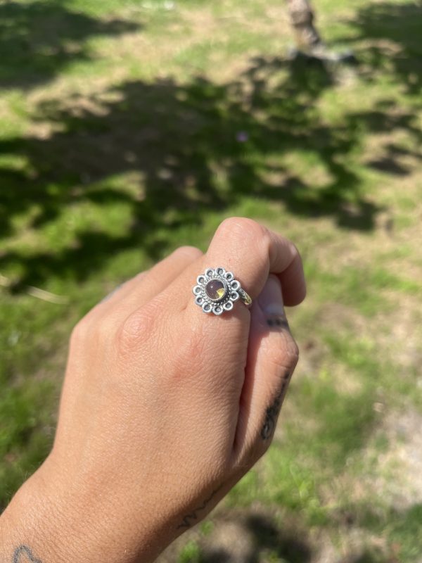 Anillo de Ámbar sol