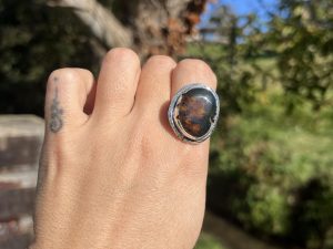 Anillo de Ámbar de México