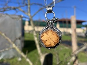 Colgante de Ayahuasca