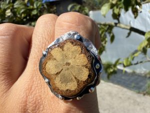 Anillo de Ayahuasca flor silvestre